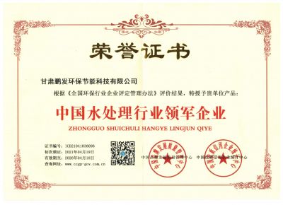 領(lǐng)軍企業(yè)榮譽證書